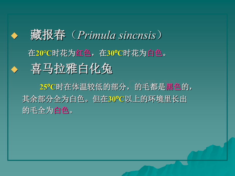 孟德尔遗传的拓展.pptx_第1页