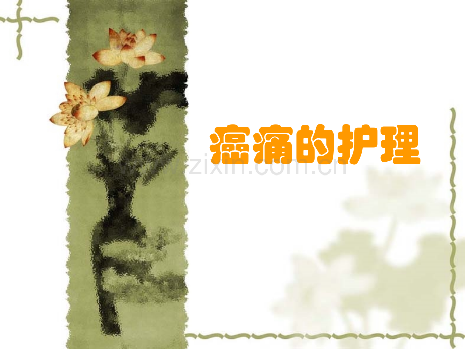 护理查房癌痛.pptx_第1页