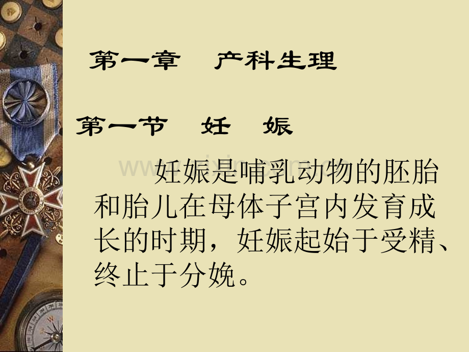 兽医外科及产科学31.pptx_第2页