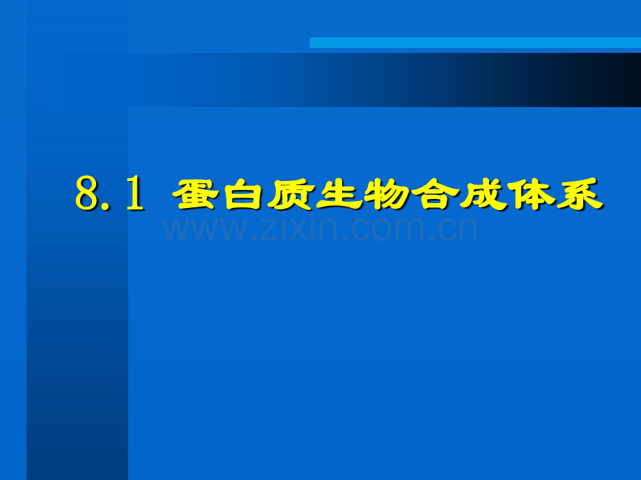 八蛋白质生物合成.pptx_第2页