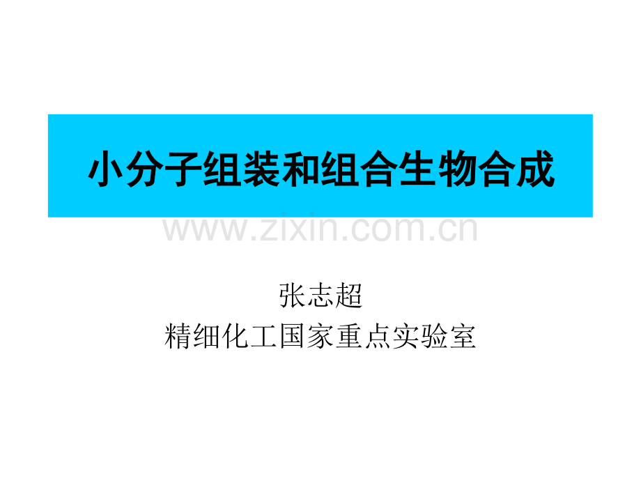 小分子组装和组合生物合成.pptx_第1页