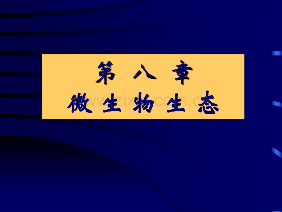 微生物的生态简.pptx_第1页