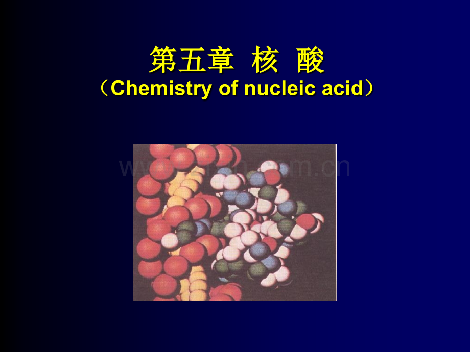 南京农业大学生物化学4.pptx_第1页
