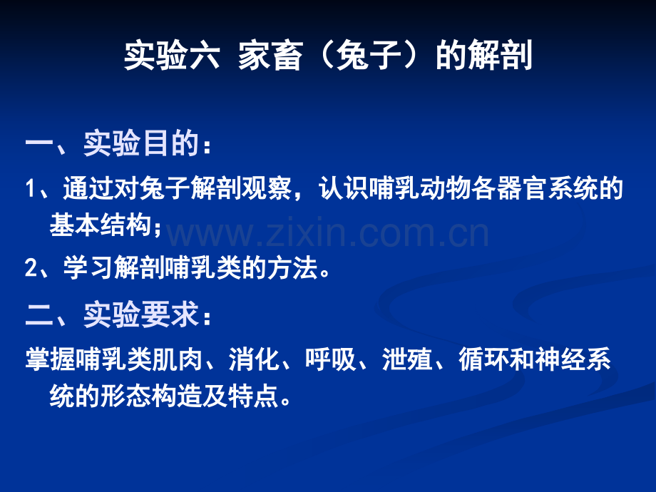 实验六-兔子的解剖.pptx_第1页