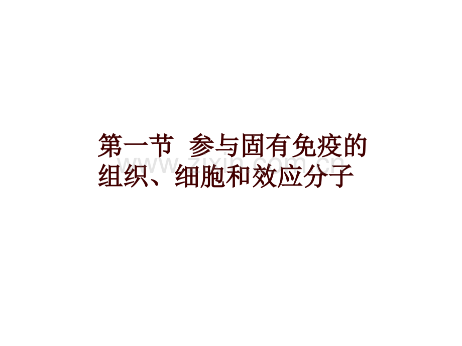 固有免疫细胞及功能中文.pptx_第2页