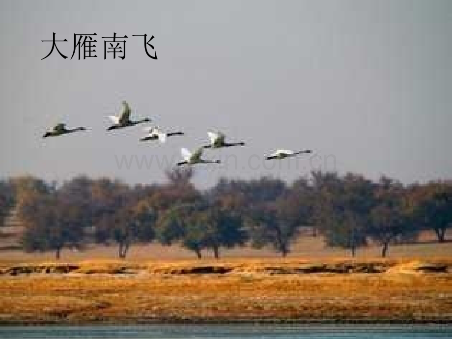 小学语文二年级上册秋天图画课件-.pptx_第2页