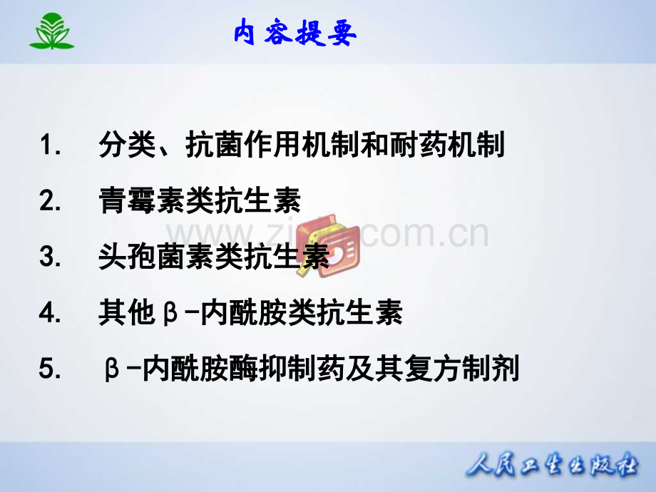 常见疾病治疗药物介绍——--β内酰胺类抗生素.pptx_第2页