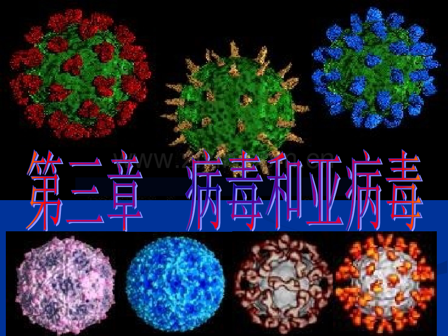 微生物学病毒与亚病毒.pptx_第1页