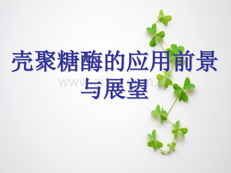 壳聚糖酶的应用前景与展望.pptx_第1页