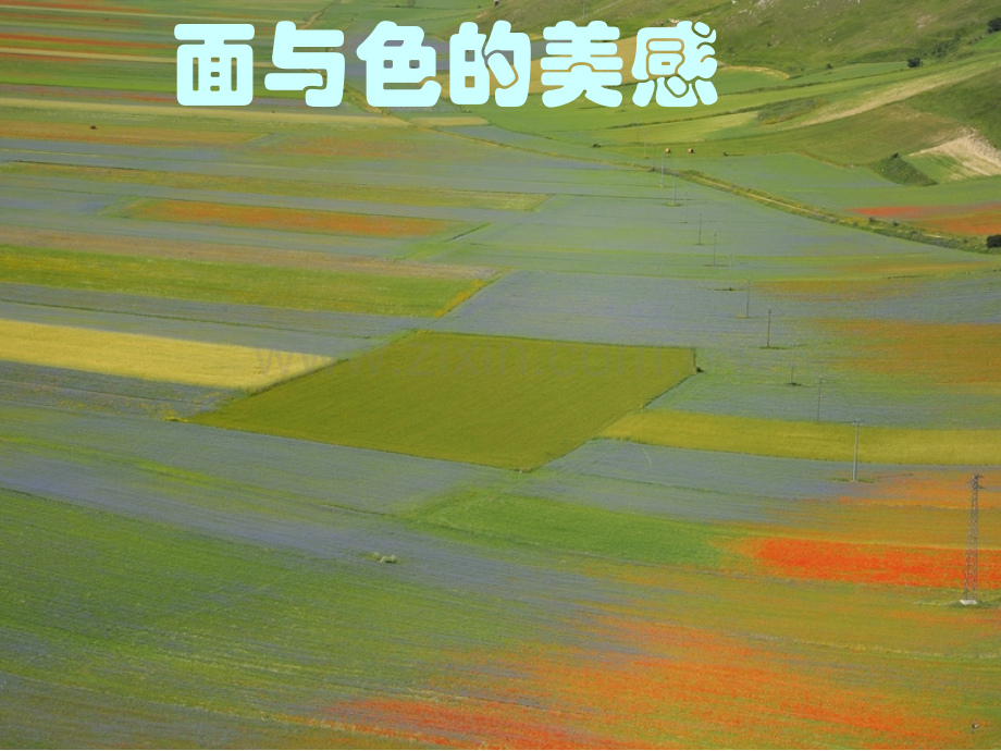 初一第二学期面与色的美感.pptx_第1页