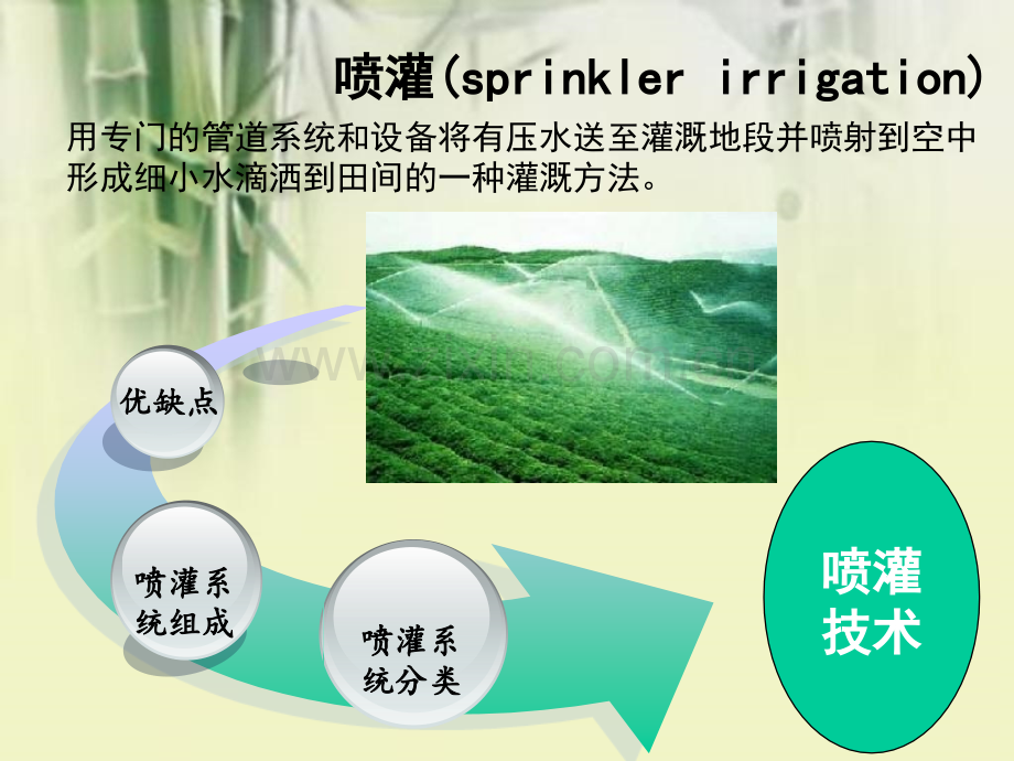 喷灌分类及特点.pptx_第1页