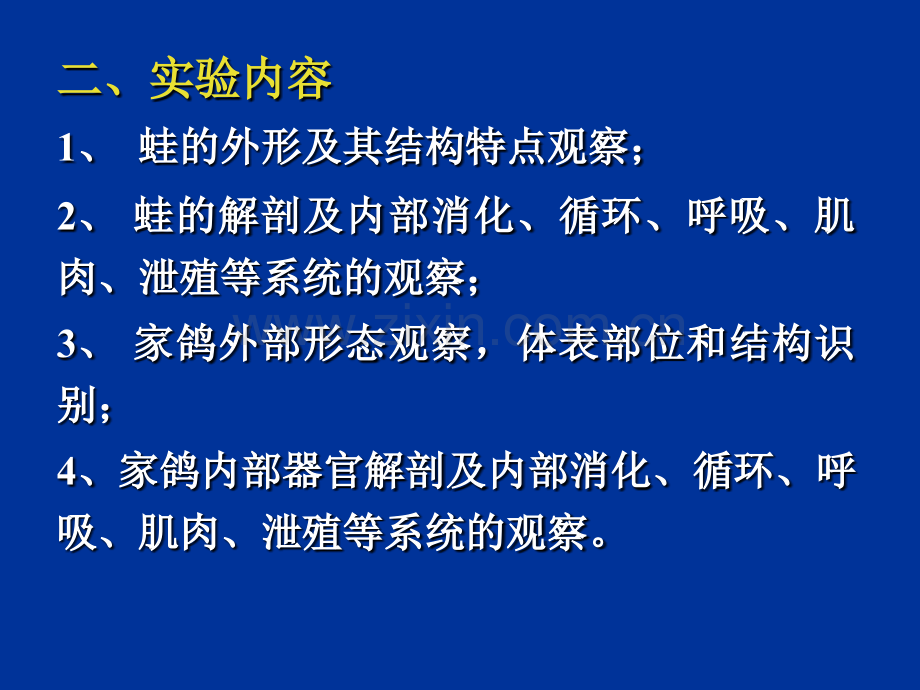实验5蛙家鸽的外形观察和内部解剖.pptx_第1页