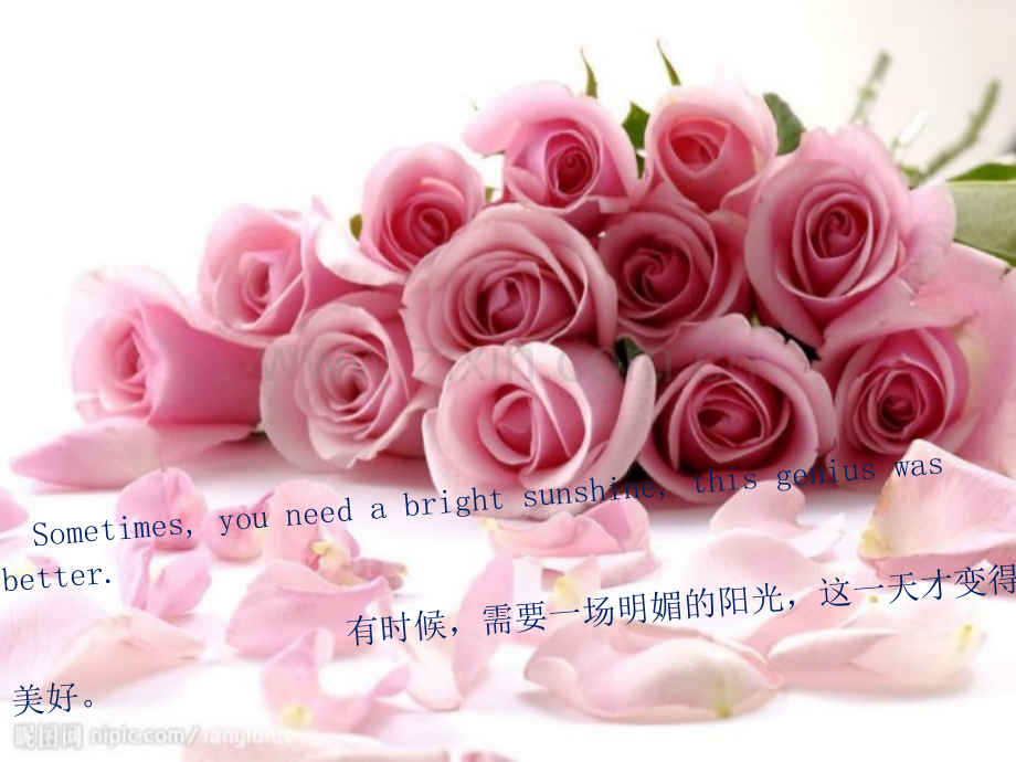 小型砌块课讲.pptx_第2页