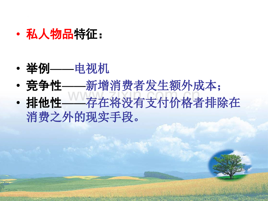 公共物品与公共选择理论分析.pptx_第2页