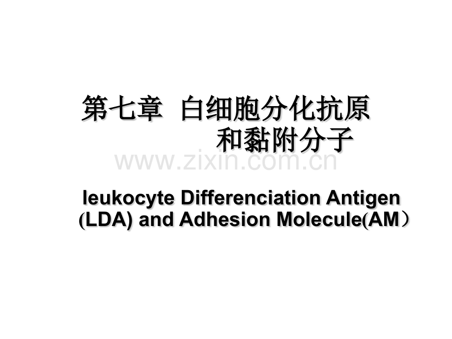 微免白细胞分化抗原黏附因子h微生物与免疫学.pptx_第1页