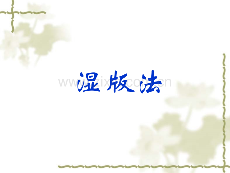 摄影术湿版法与干版法简介.pptx_第1页