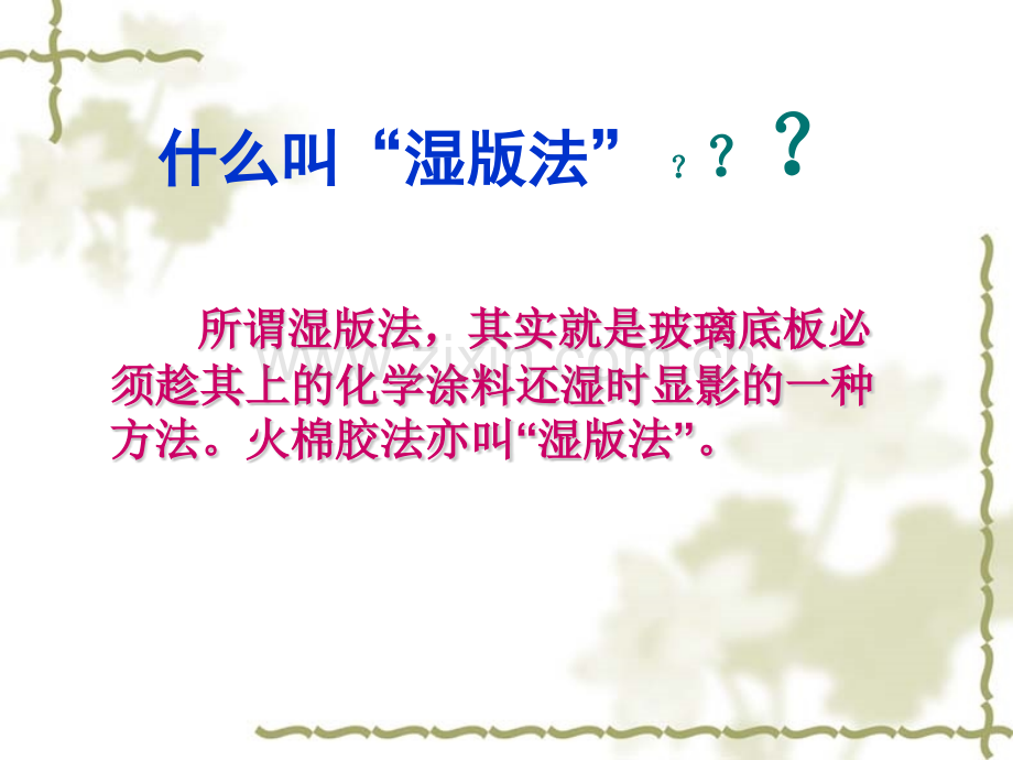摄影术湿版法与干版法简介.pptx_第2页