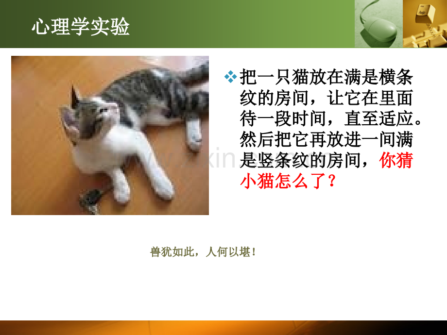 新员工的角色改变与适应.pptx_第2页