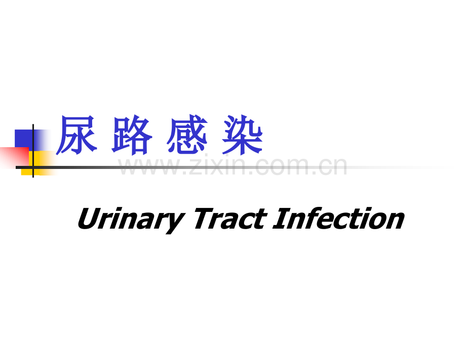 加重肾损害的常见临床因素.pptx_第1页