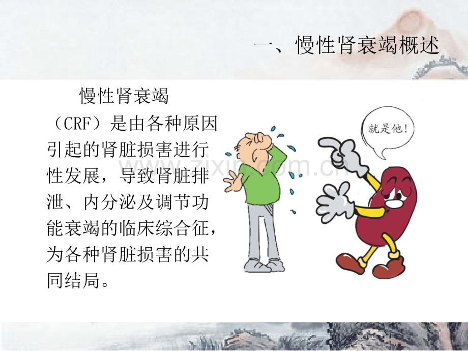 慢性肾病的中医治疗及保养.pptx_第2页