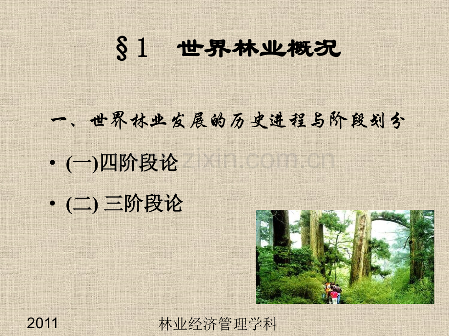 林业经济学世界和中国林业.pptx_第1页