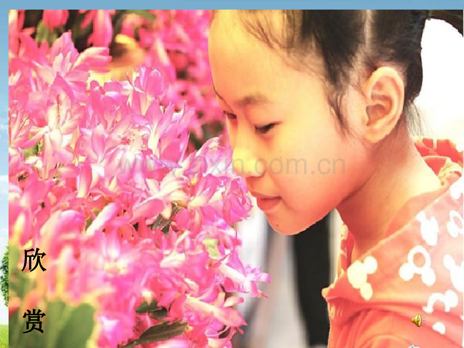 小学二年级美术花儿朵朵.pptx_第2页