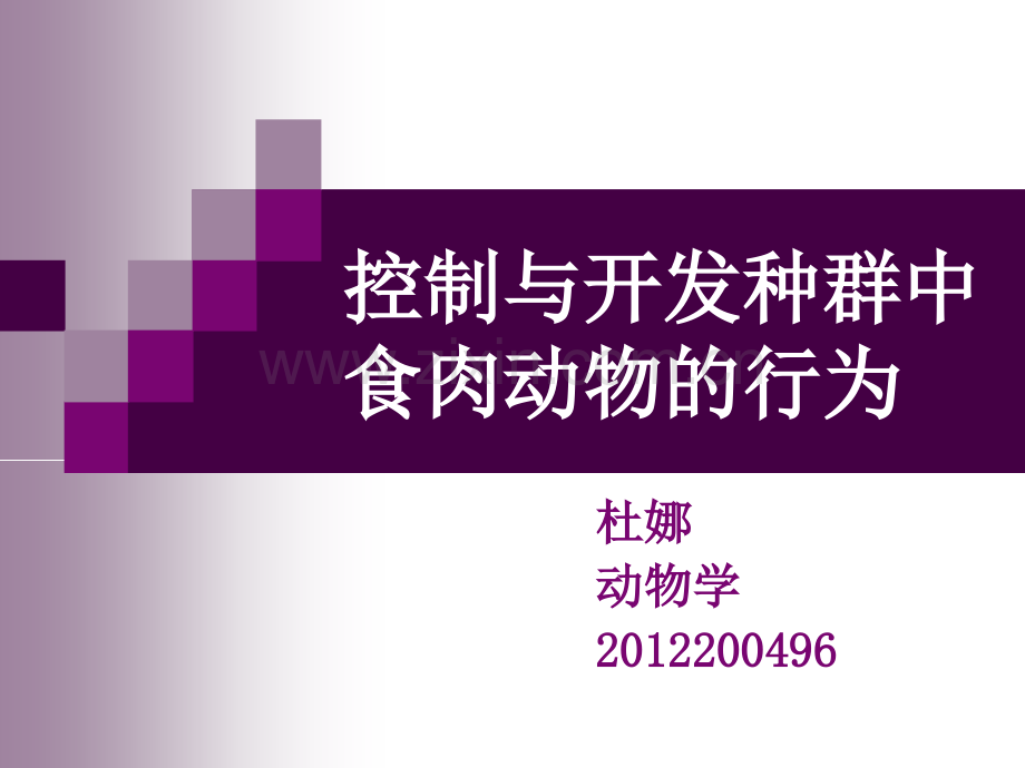 控制与开发种群中食肉动物的行为.pptx_第1页