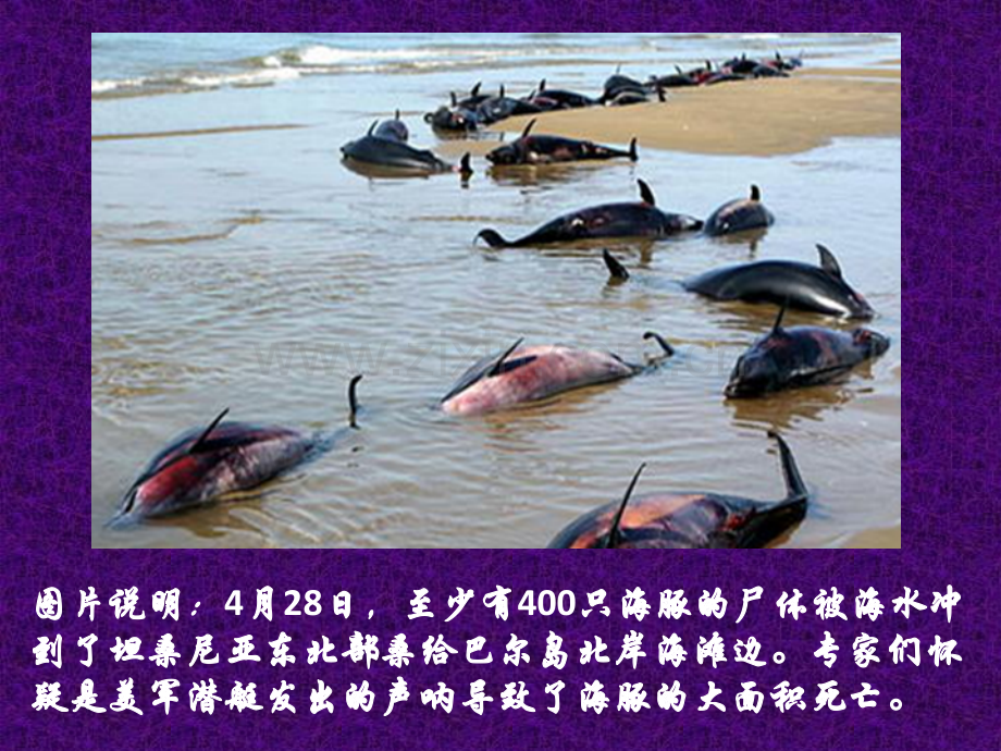 噪音的危害和控制优质课.pptx_第2页