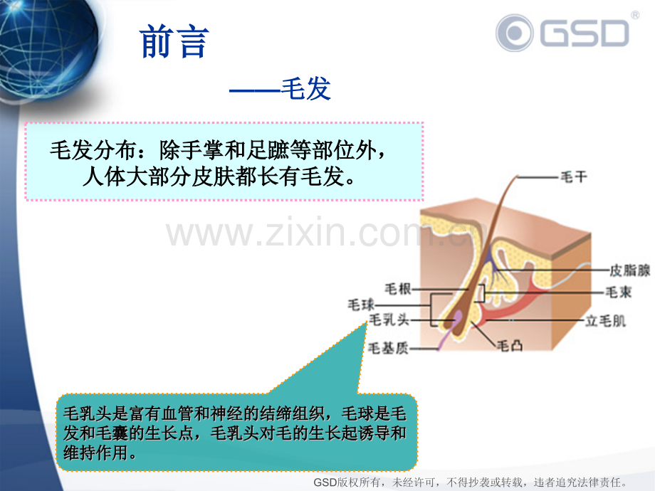 半导体激光脱毛系统.pptx_第2页