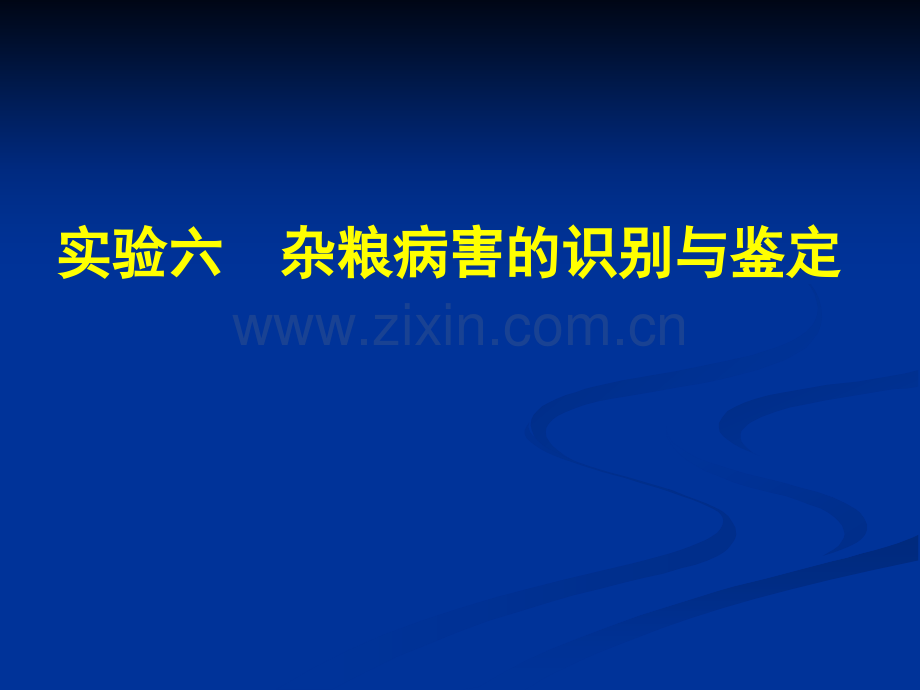 实验6-杂粮病害识别与鉴定.pptx_第1页