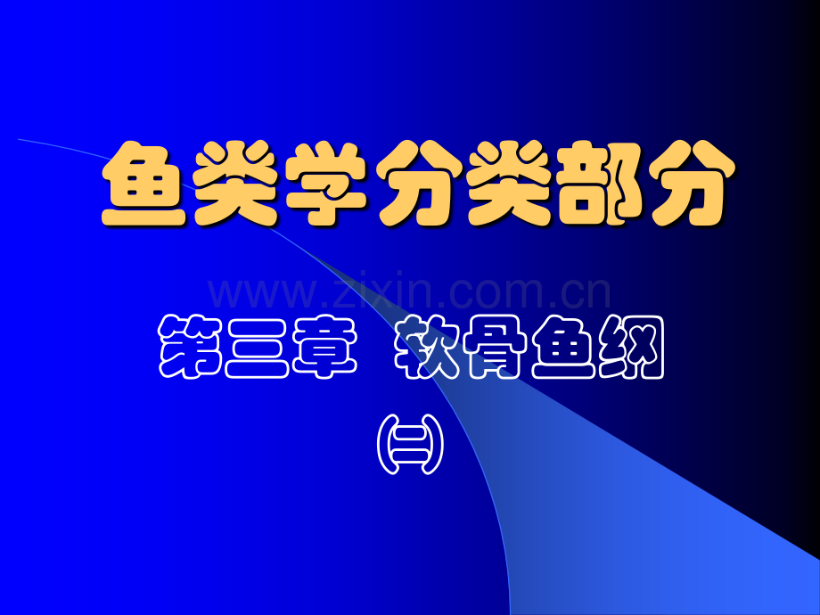 动物生物学5软骨鱼类2下孔类.pptx_第1页