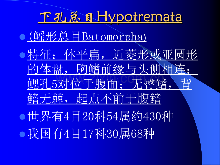 动物生物学5软骨鱼类2下孔类.pptx_第2页