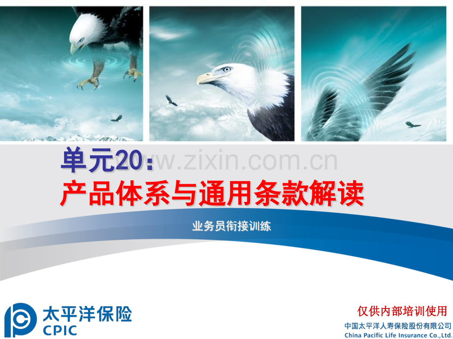 单元20产品体系与通用条款解读.pptx_第1页