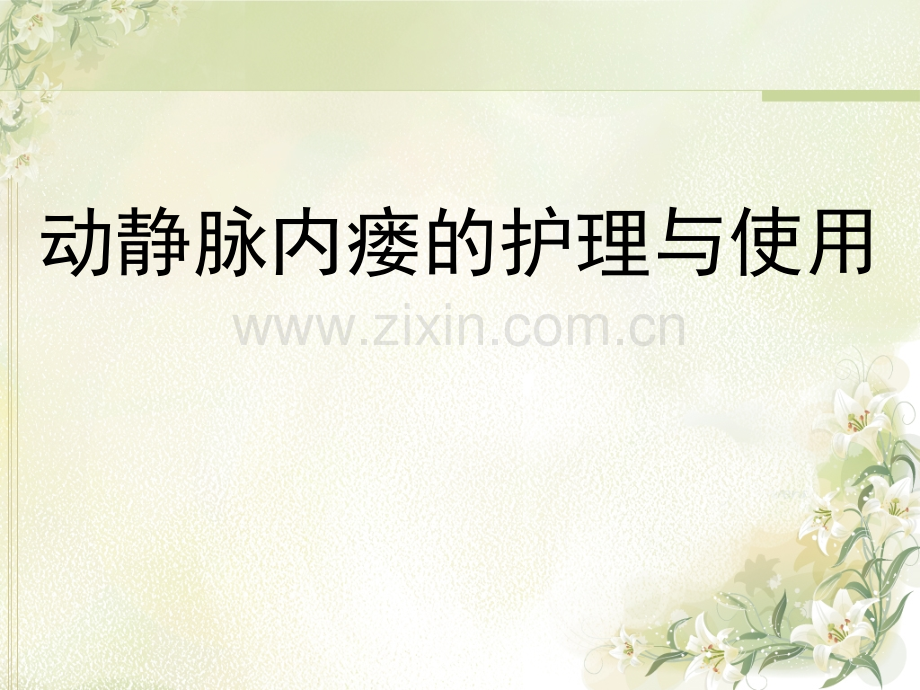 动静脉内瘘的护理与使用资料.pptx_第1页
