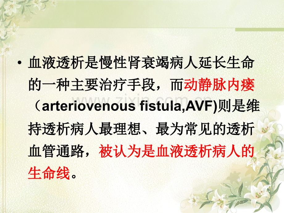 动静脉内瘘的护理与使用资料.pptx_第2页