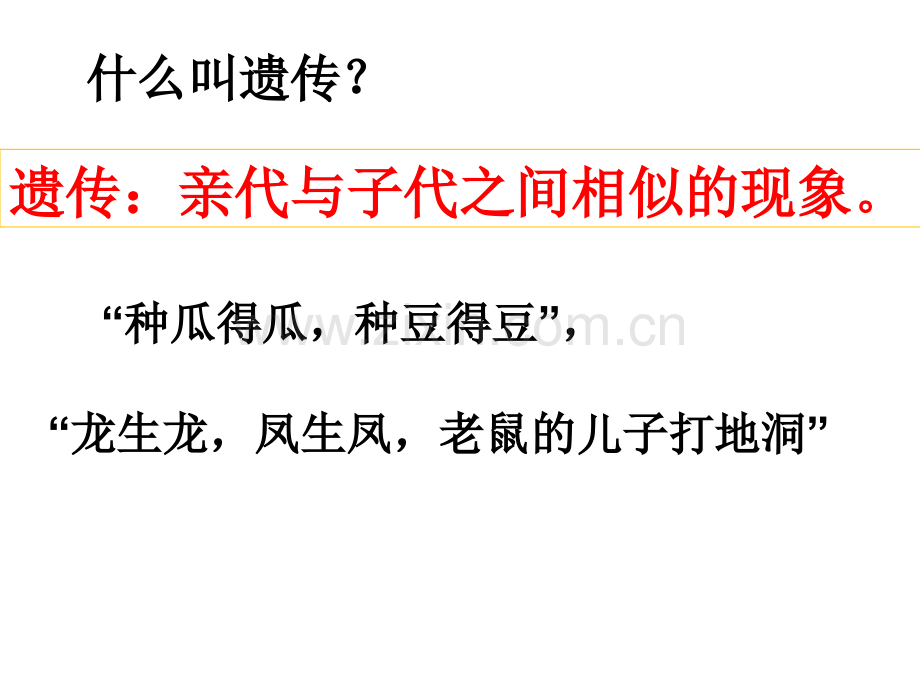 孟德尔杂交实验一1.pptx_第2页