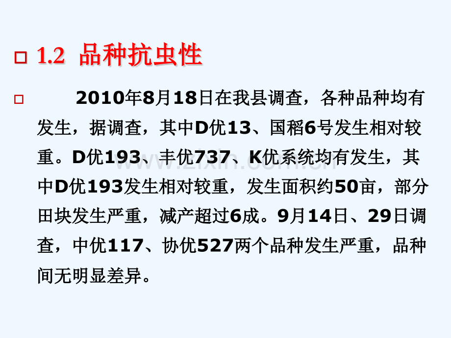 稻管蓟马危害特症与防治方法.pptx_第2页