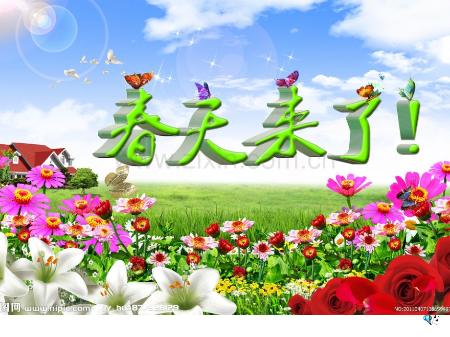 幼儿读物春天在这里.pptx_第1页