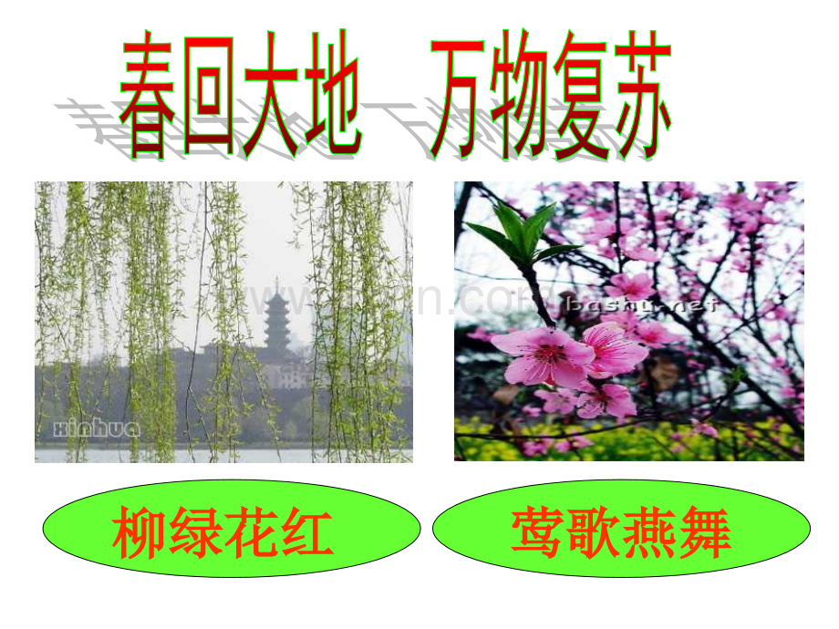 幼儿读物春天在这里.pptx_第2页