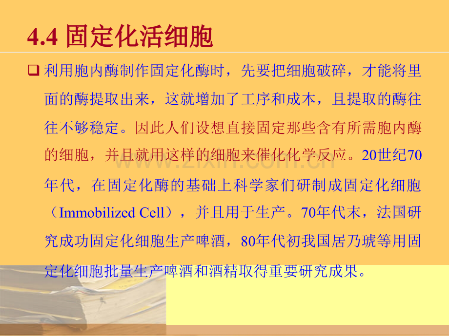 固定化酶和固定化细胞.pptx_第2页