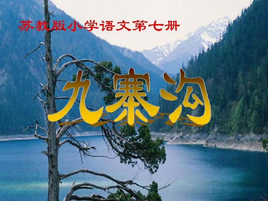 国标本语文第七册九寨沟.pptx_第1页