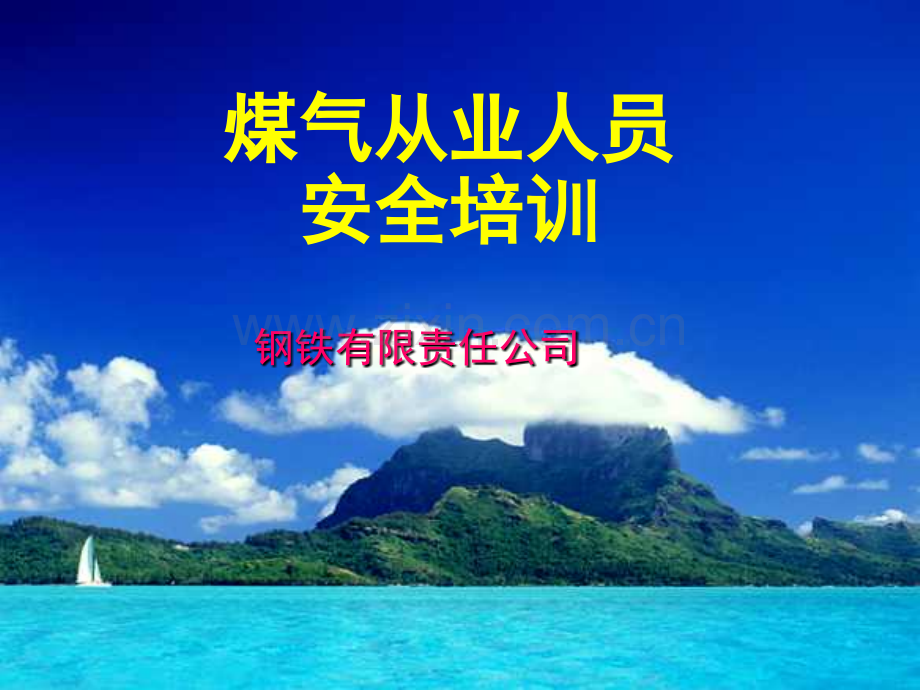 冶金企业煤气从业人员安全培训.pptx_第1页
