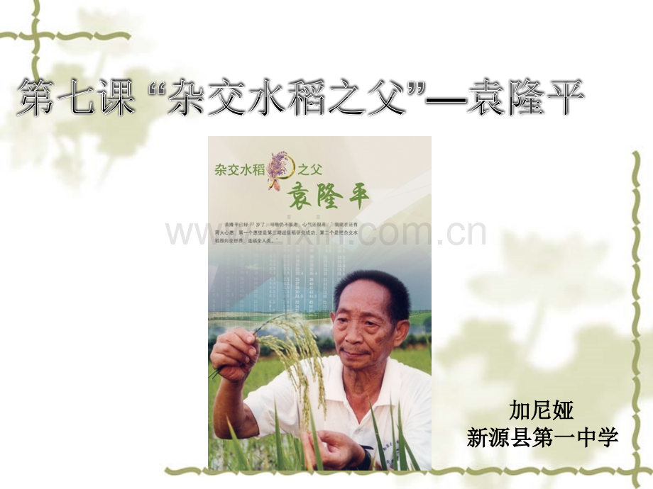 加尼娅杂交水稻之父袁隆平剖析.pptx_第2页
