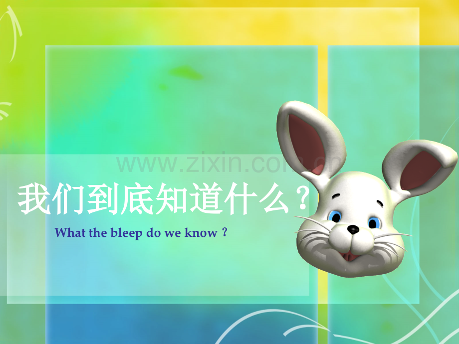 我们到底知道什么.pptx_第1页