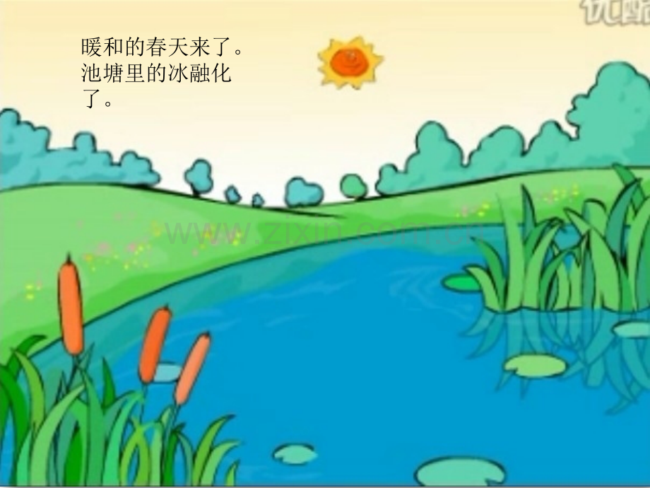 大班语言课小蝌蚪找妈妈.pptx_第1页