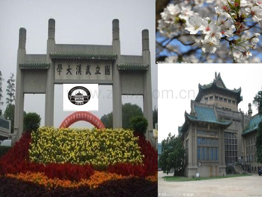 学风建设班会.pptx_第2页