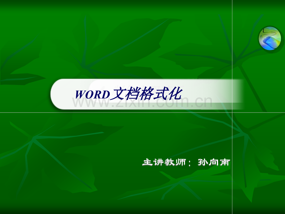 文档格式化公开课.pptx_第1页