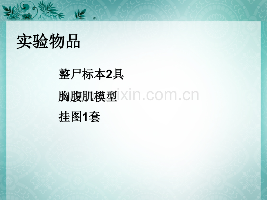 实验八胸腹肌膈肌.pptx_第1页