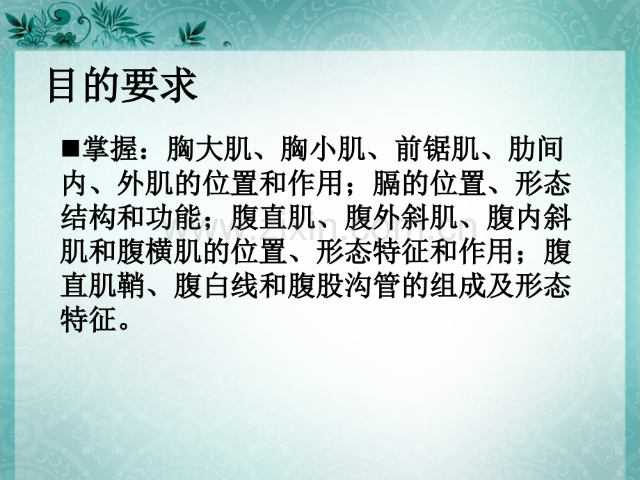 实验八胸腹肌膈肌.pptx_第2页