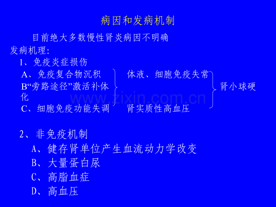 慢性肾小球肾炎特点.pptx_第2页